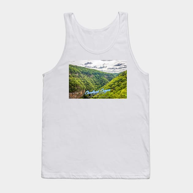 Cloudland Canyon State Park Tank Top by Gestalt Imagery